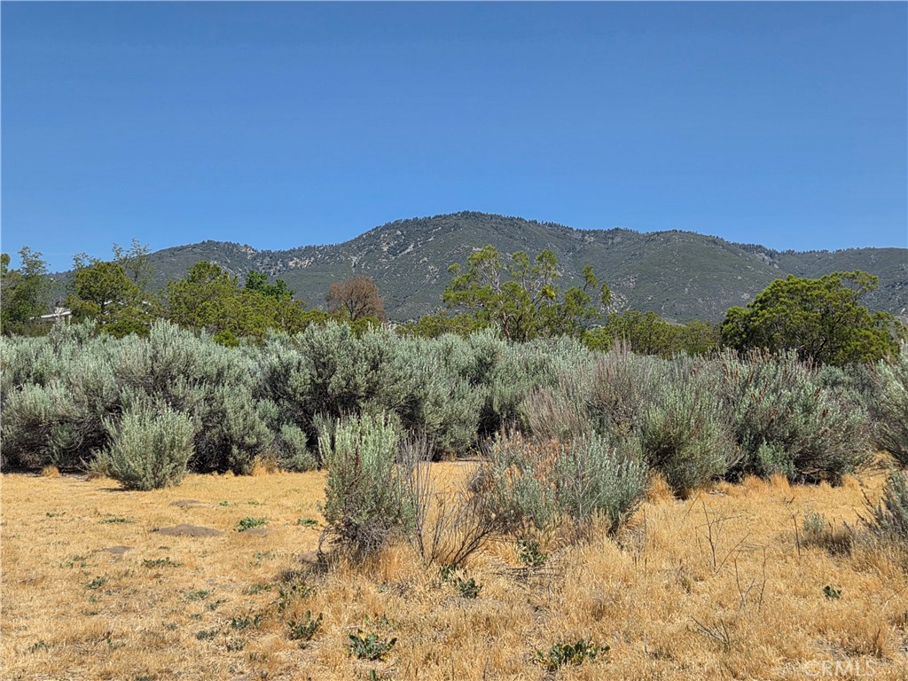 37230 Bautista Canyon