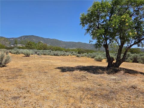 Tiny photo for 37230 Bautista Canyon Rd, Anza, CA 92539 (MLS # SW26087315)