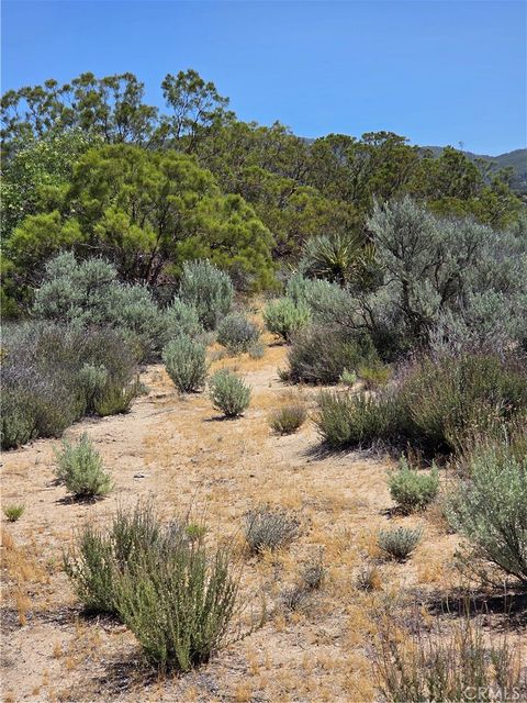 Tiny photo for 37230 Bautista Canyon Rd, Anza, CA 92539 (MLS # SW26087315)