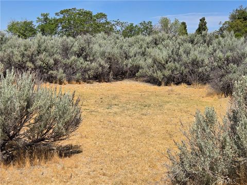 Tiny photo for 37230 Bautista Canyon Rd, Anza, CA 92539 (MLS # SW26087315)