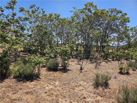 Tiny photo for 37230 Bautista Canyon Rd, Anza, CA 92539 (MLS # SW26087315)