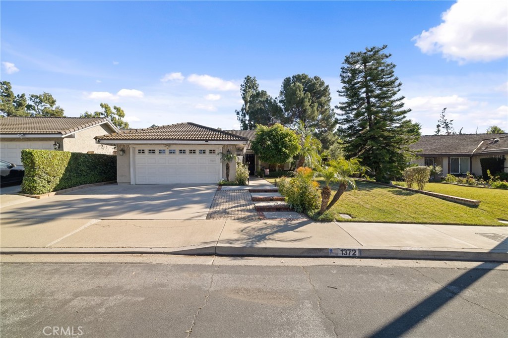 1372 Avenida Loma Vista