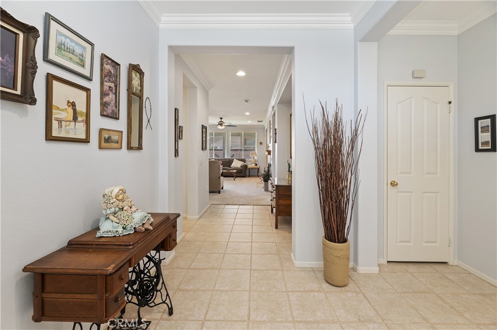 30392 Ambercorn Drive