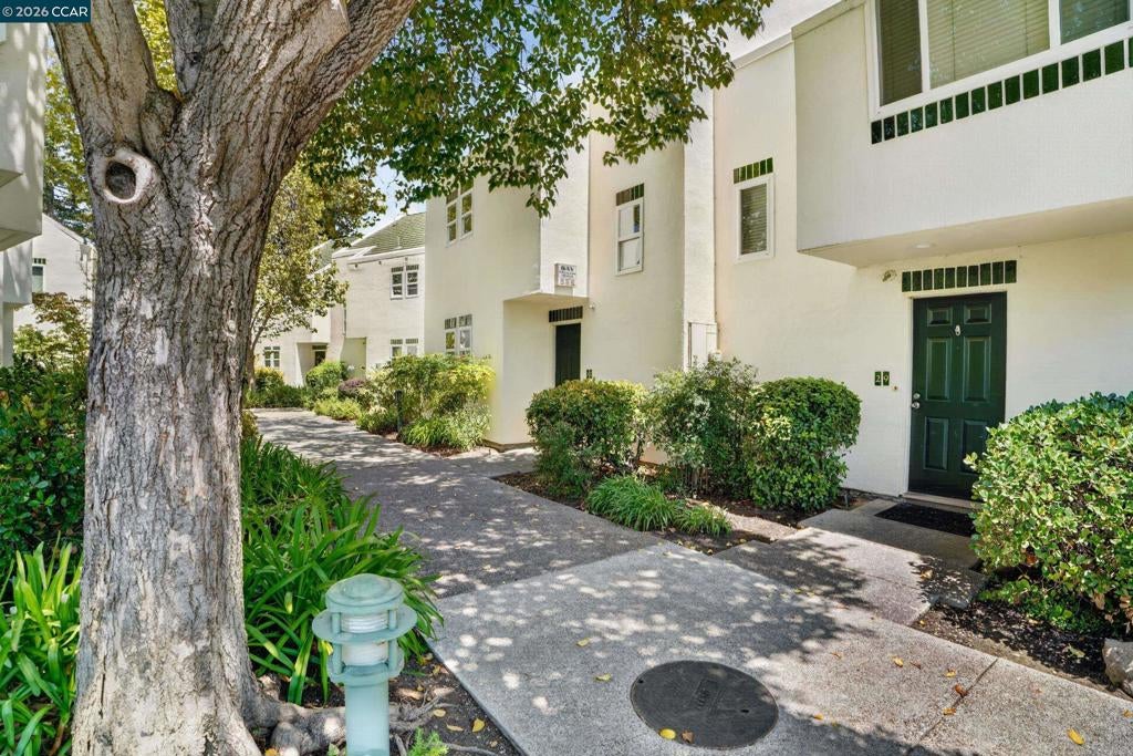 31 Mozden Ln