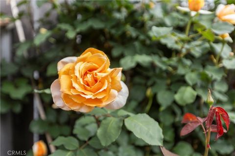 Tiny photo for 50 5th Street, Cayucos, CA 93430 (MLS # SC26064810)