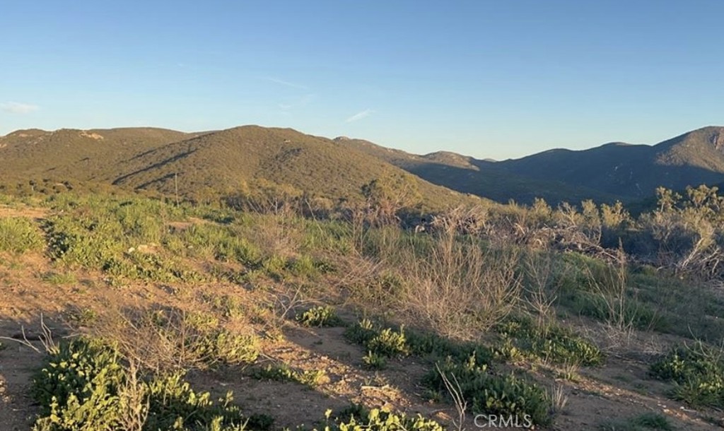 Discover the endless possibilities with this expansive 19.5-acre parcel located off Cooper Cienega Truck Trail in the scenic hills of Anza. This private and secluded property offers panoramic mountain and valley views, making it a perfect retreat for those seeking peace and space. Zoned for rural residential and agriculture, the land presents a great opportunity for farming, ranching, or building your dream home or getaway. Enjoy cool breezes, star-filled skies, and the tranquility of nature, all within reach of nearby Temecula, Idyllwild, and Palm Desert. Water well holds 7/8 gallons minimum.
