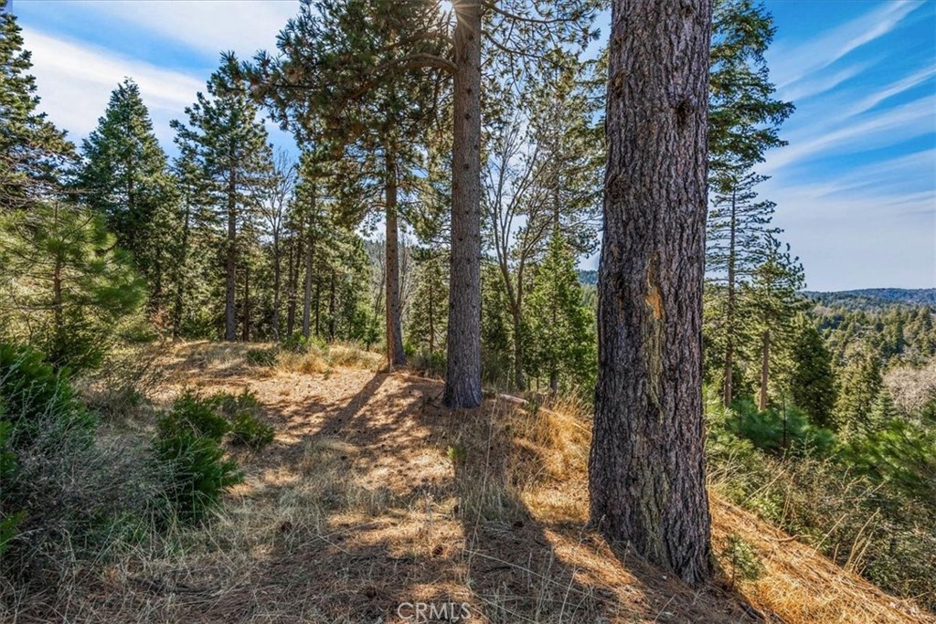 Arrowhead Woods (AWHW) - Land