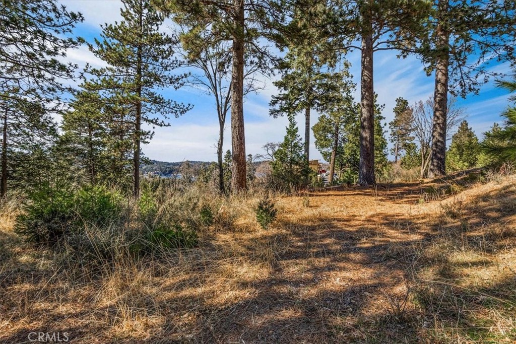 Arrowhead Woods (AWHW) - Land