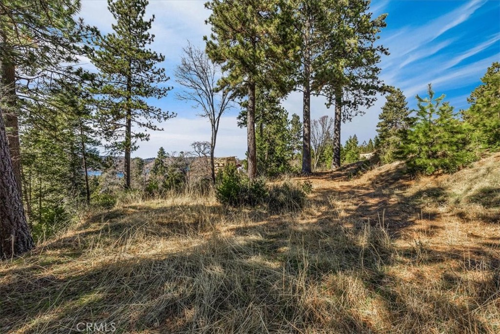 Arrowhead Woods (AWHW) - Land