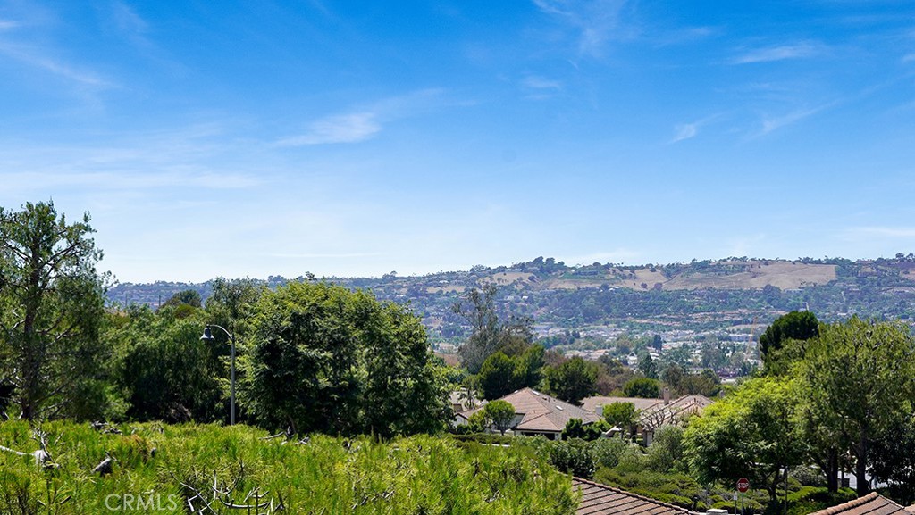 27469 Paseo Mimosa, San Juan Capistrano CA 92675 - Photo 41