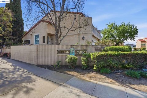 Photo of 37725 Cedar Blvd Blvd, Newark, CA 94560 (MLS # 41127464)