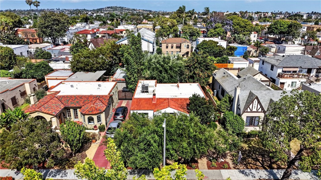 2030 Eucalyptus