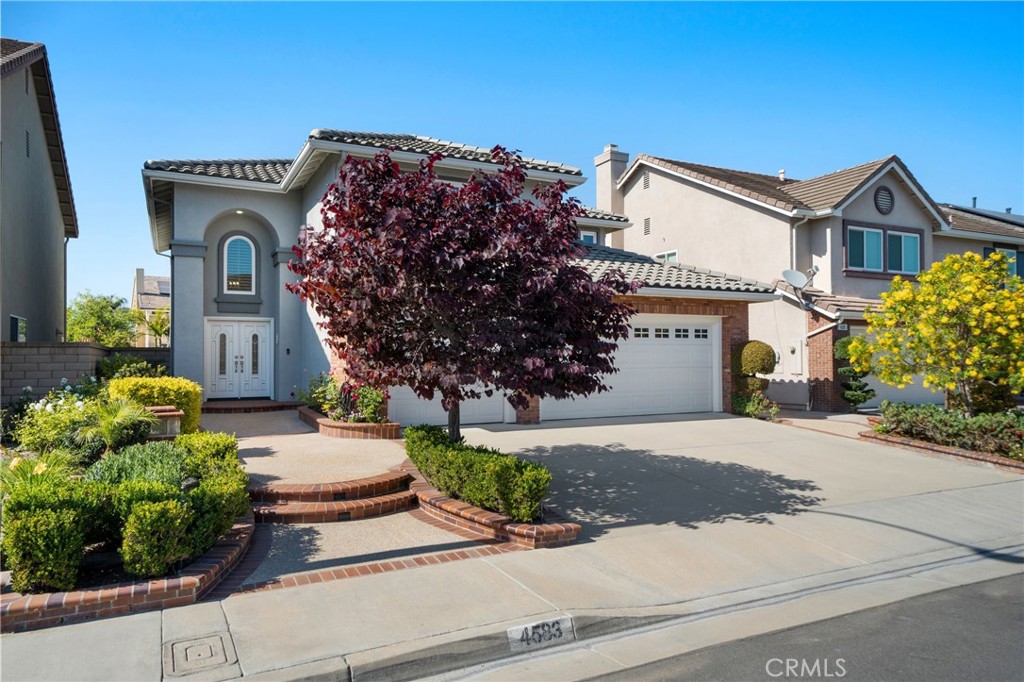 4583 TUSCANI Drive