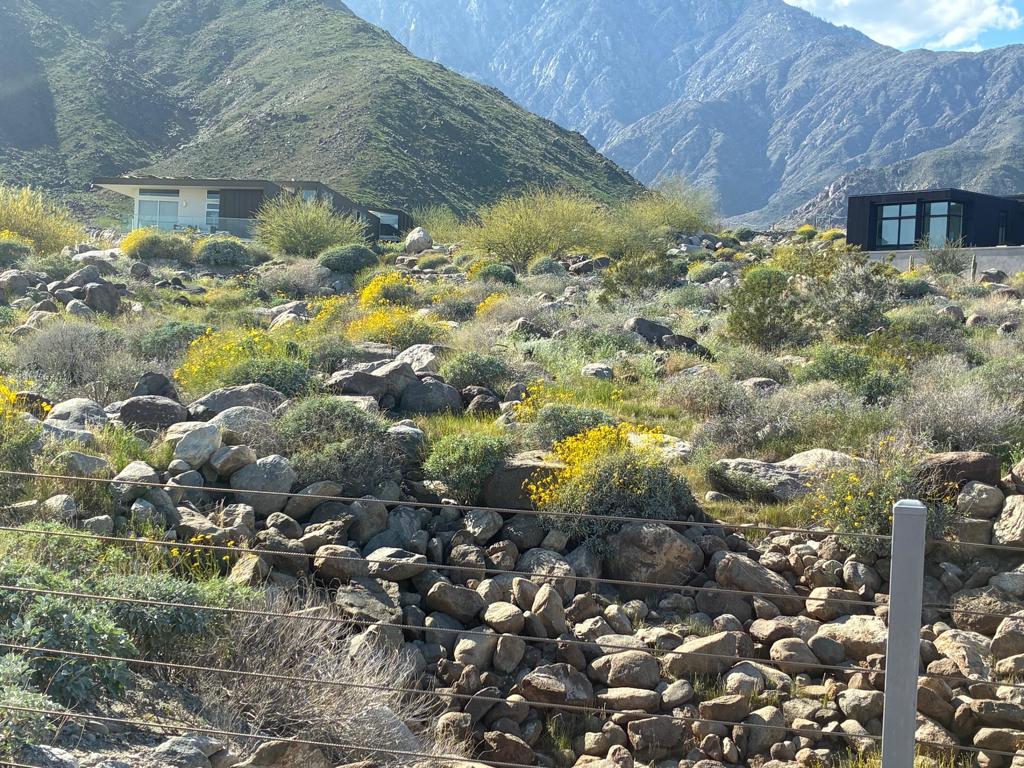 Lot 65 Vista Palizada Drive