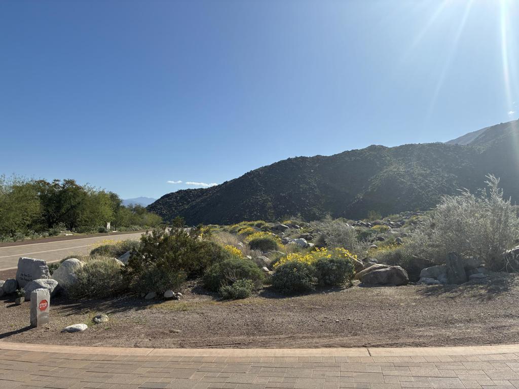 Lot 65 Vista Palizada Drive