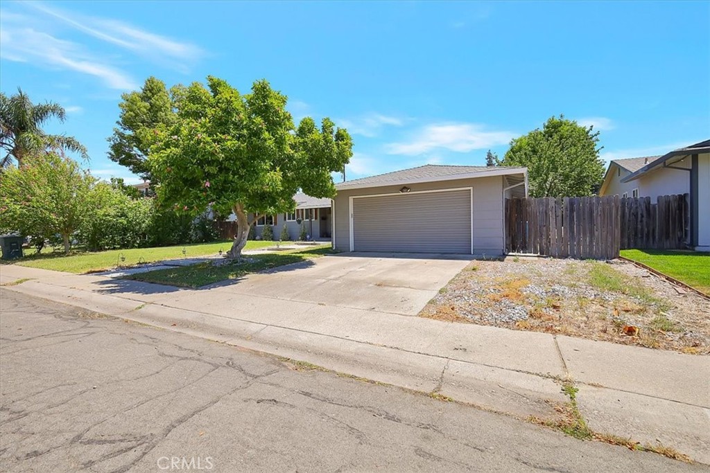 1430 Peach Tree