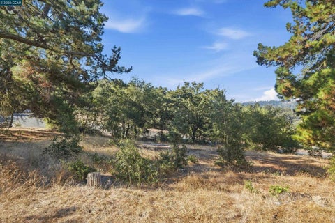 Photo of 0 Hamlin Rd, Lafayette, CA 94549 (MLS # 41147187)