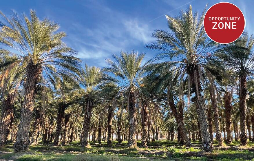 (Larson 64 Ranch) All or Part. 20.5 AC - 856.47 AC Portfolio of 8 Ranches. Approx. 1,910 organic date trees located on the property. Just 1.5 miles to The Thermal Club, an exclusive luxury motorsports track. Two miles to Jacqueline Cochran Regional Airport. Easy access to Expressway 86. In Opportunity Zone, providing potential tax incentives. Abundant and affordable Coachella Valley Water District (CVWD) irrigation water, one of the lowest water rates in California. *Brochure & Offering Memorandum can be downloadable in 'Document' tab.