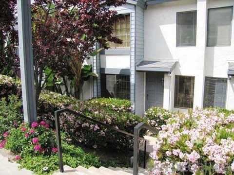 Photo of 8868 Regents Rd Rd #103, San Diego, CA 92122 (MLS # 250039774SD) Photo of 8868 Regents Rd Rd #103, San Diego, CA 92122 (MLS # 250039774SD)