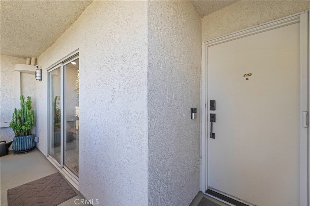 24413 Leonard Tree