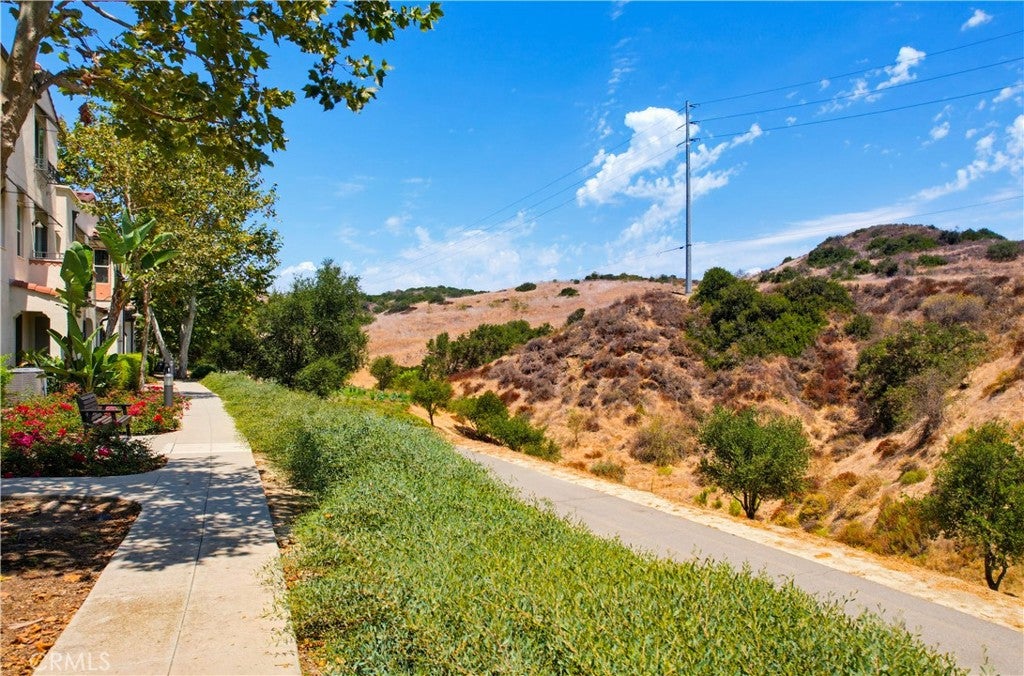 97 Adelfa, Rancho Mission Viejo CA 92694 - Photo 46