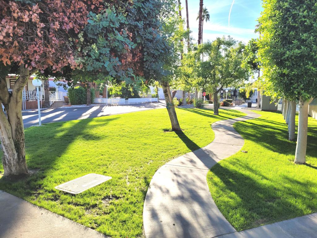 Royal Palms - Manufactured In Park