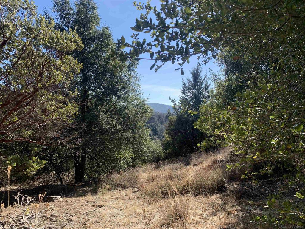2708 Payson Dr