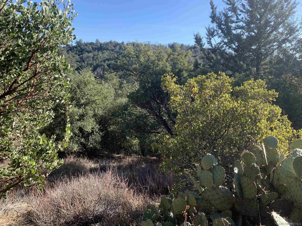 2708 Payson Dr
