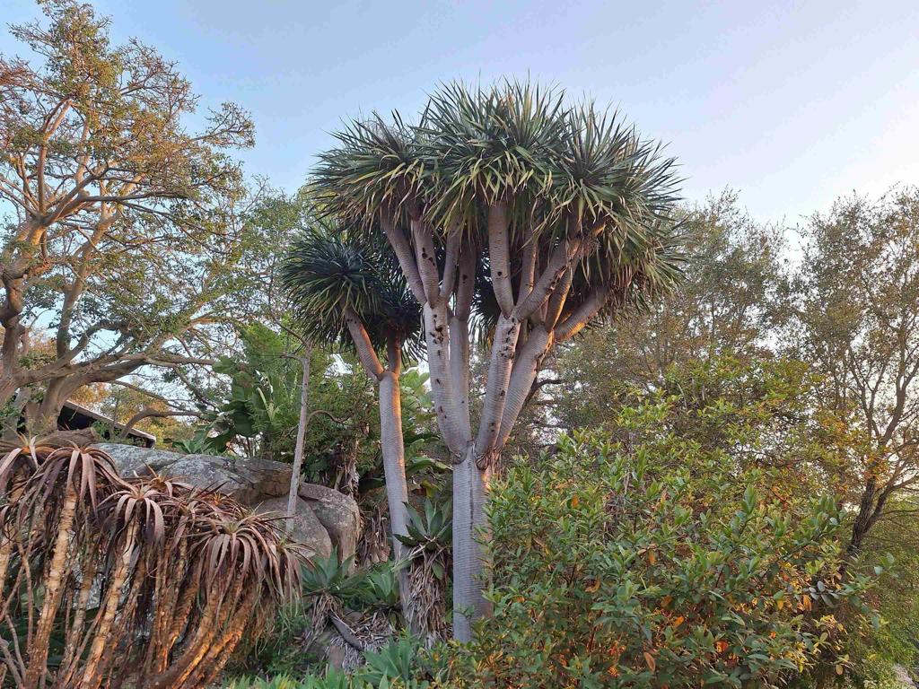 1640 Ojeda Road
