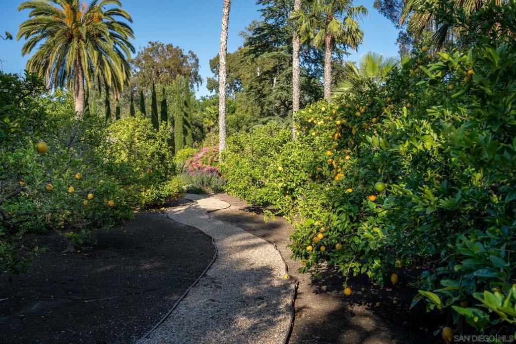 Rancho Santa Fe - Residential