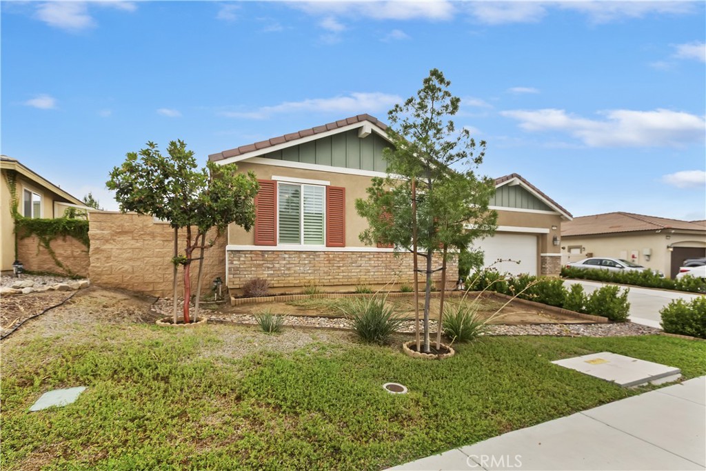 28662 Wedelia Street