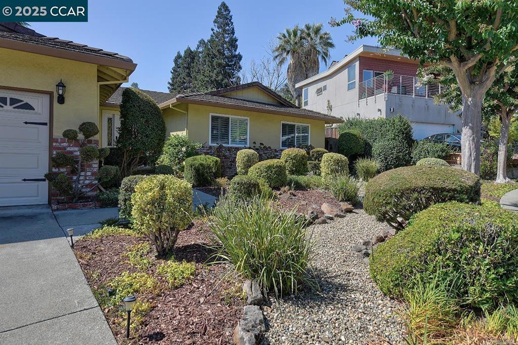 BUENA VISTA - Residential