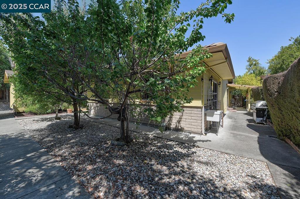 BUENA VISTA - Residential