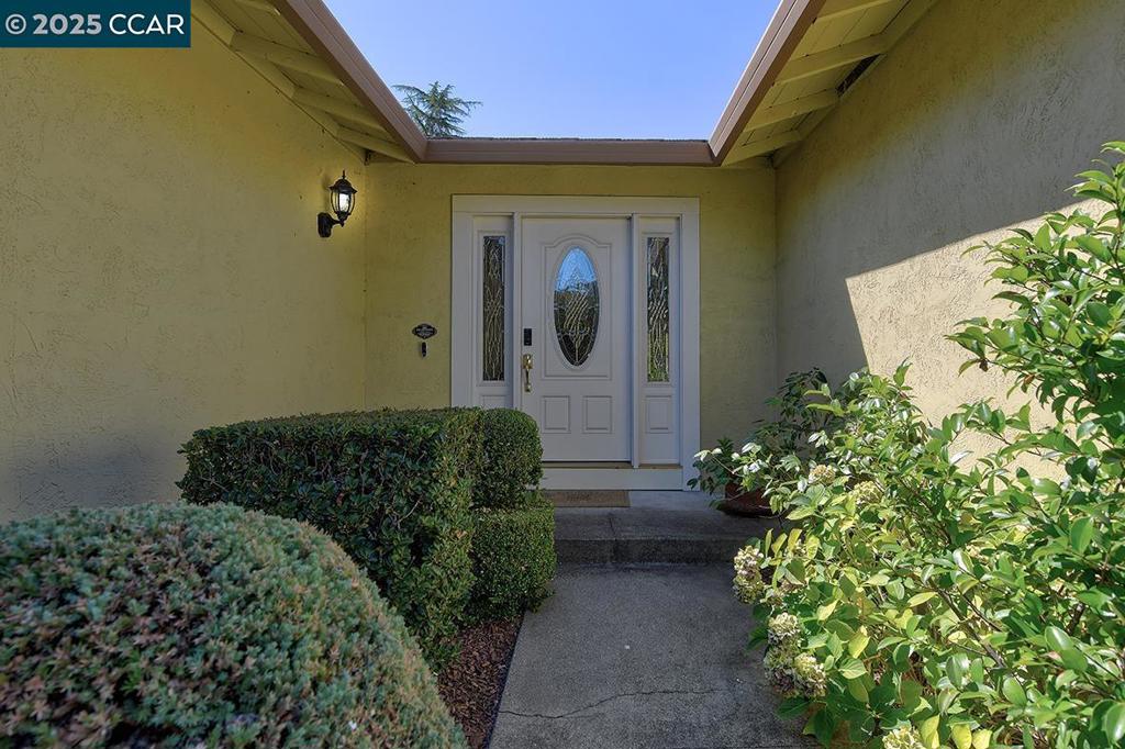 BUENA VISTA - Residential