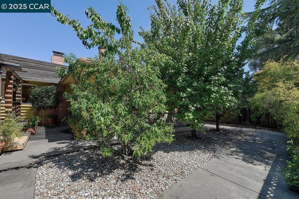 BUENA VISTA - Residential