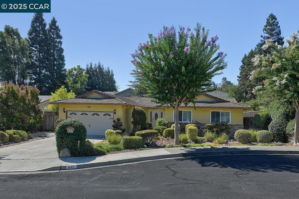 BUENA VISTA - Residential