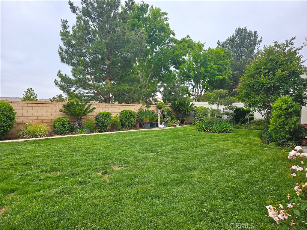197 POTTER CREEK