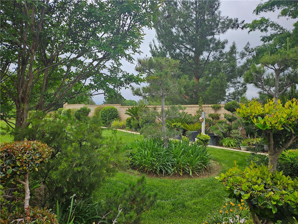 197 POTTER CREEK