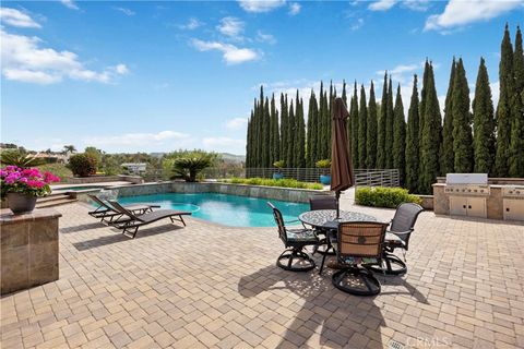 291 S Owens Drive Anaheim Hills CA 92808