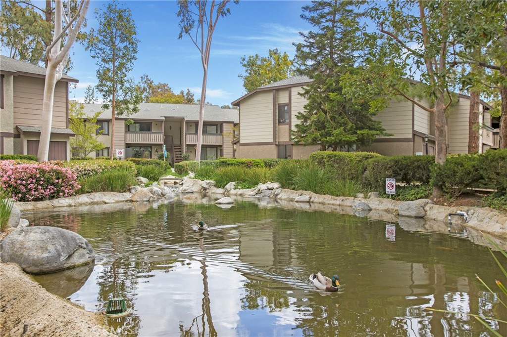 Pheasant Creek (PC) - Residential