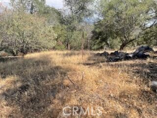 Paved roads lead you to this 2.34 acre parcel. Situated less than 3 miles from downtown Coarsegold for dining and shopping. This property also includes half interest in a well, saving you some money on development costs for your build. Take a look and see the potential in this property in the Sierra foothills. Just 26 miles to the entrance of Yosemite National Park!