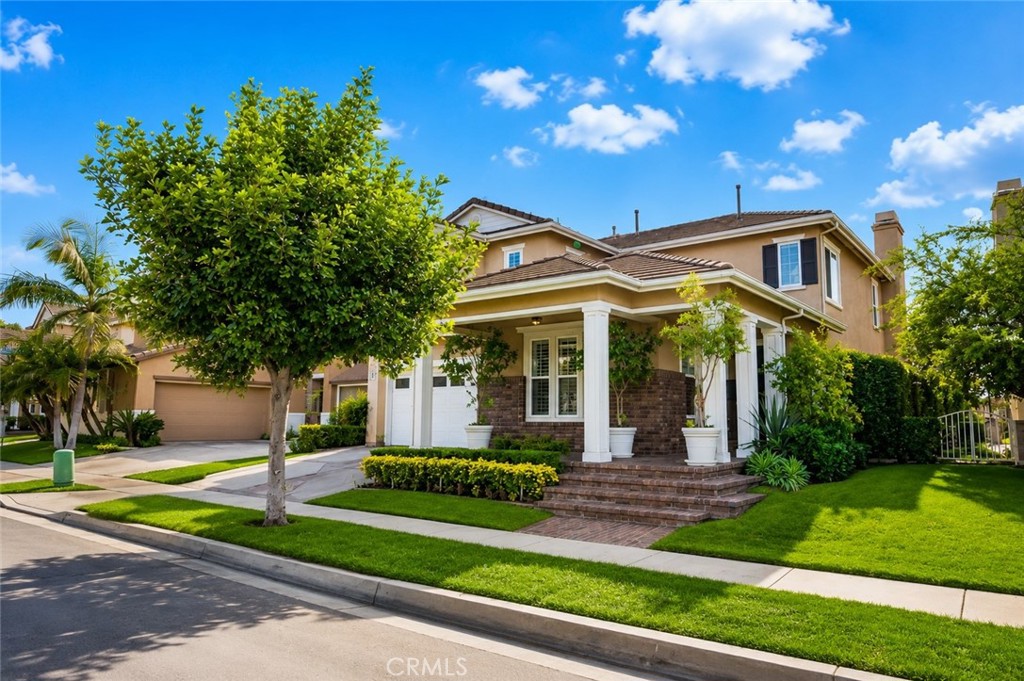 646 Oak Tree