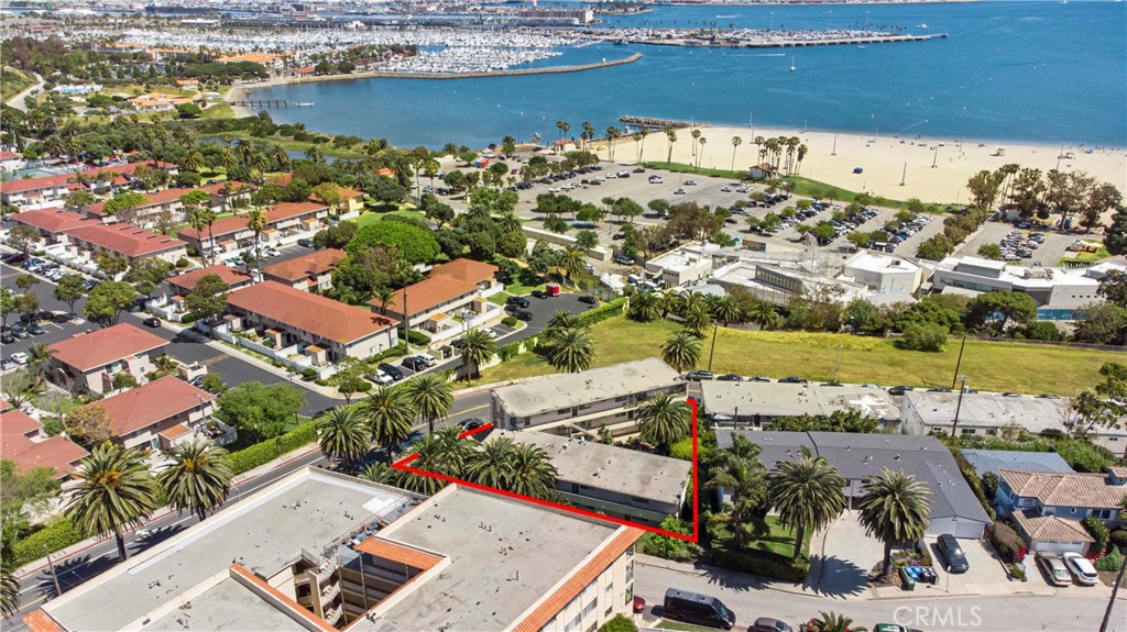 3605 Stephen M White