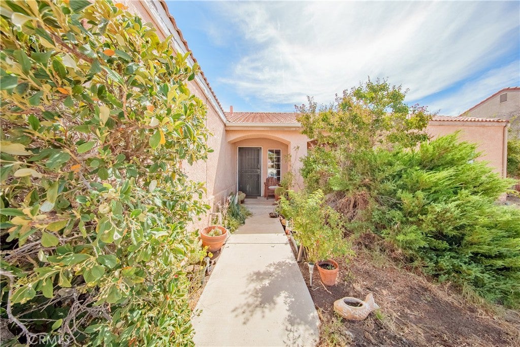 12391 Chuckwalla