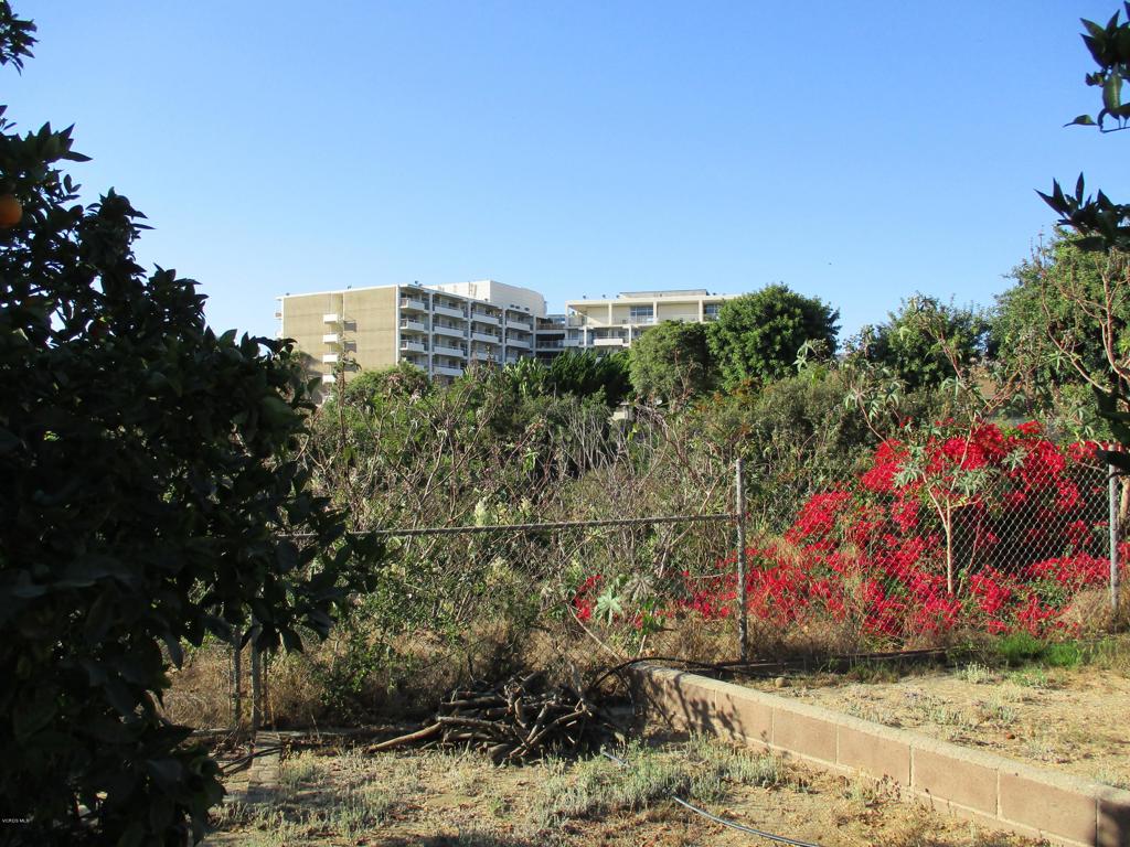 College Park 1 - 0256 - Residential