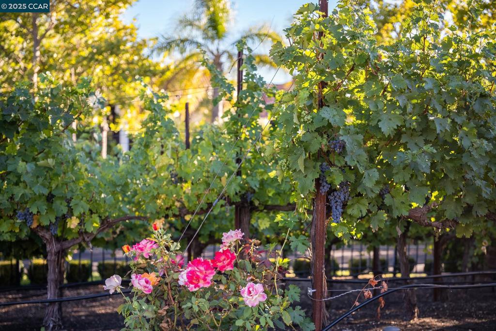 BLACKHAWK C. C. - Residential