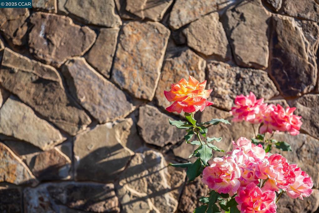 BLACKHAWK C. C. - Residential