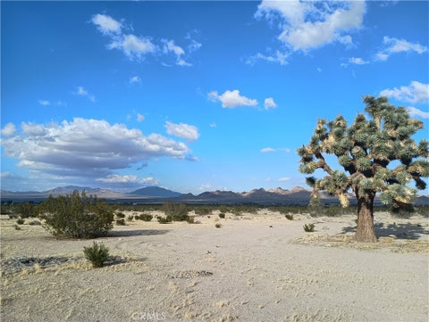 Photo of 9823 Joshua Ave, Lucerne Valley, CA 92356 (MLS # HD26228051)