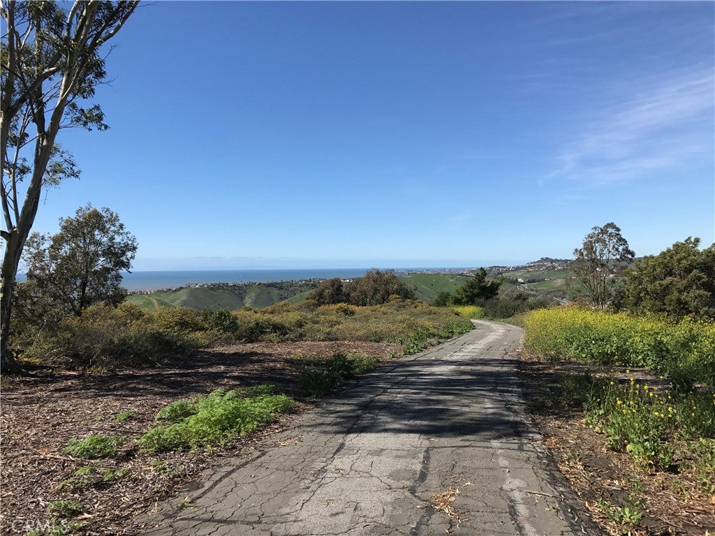 1003 Via Presa, San Clemente CA 92672 - Photo 58