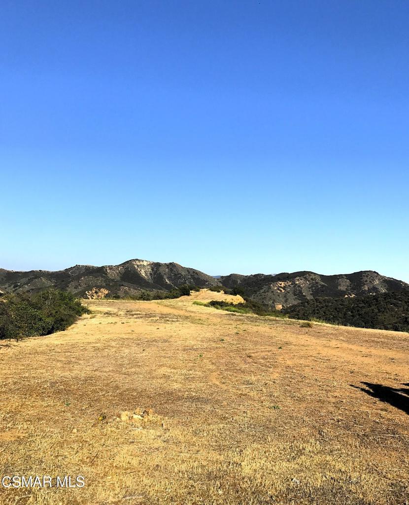 29266 Wagon Road
